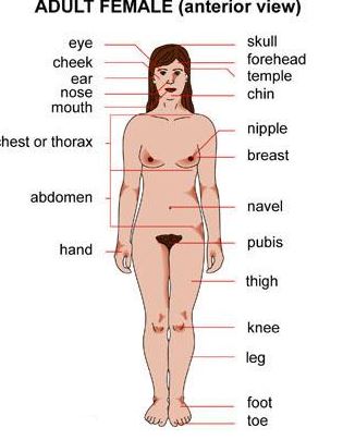 woman structure